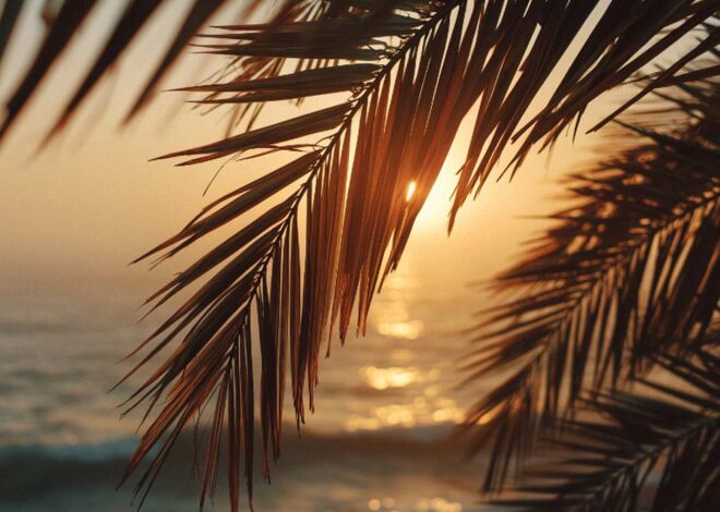 Best Place For Seeing Nature