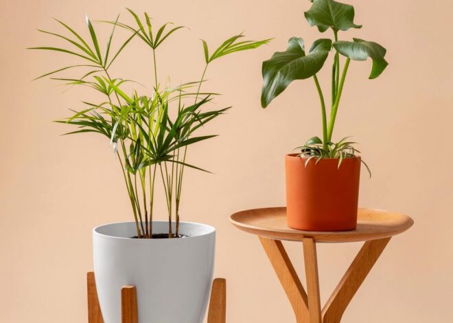 A Peaceful Voice Room For Words