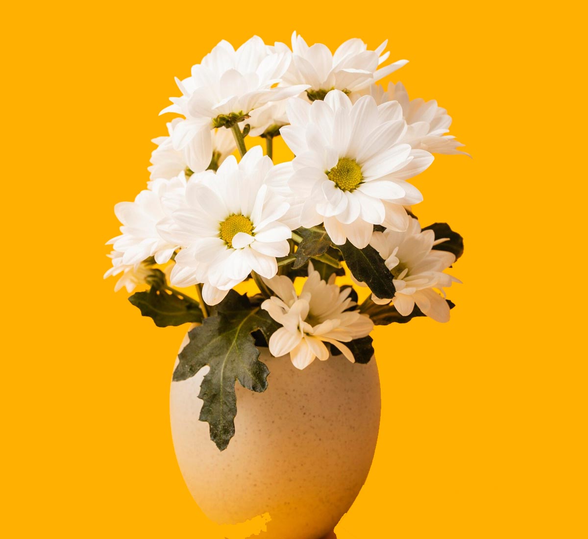 Clouds Concrete Field Grass